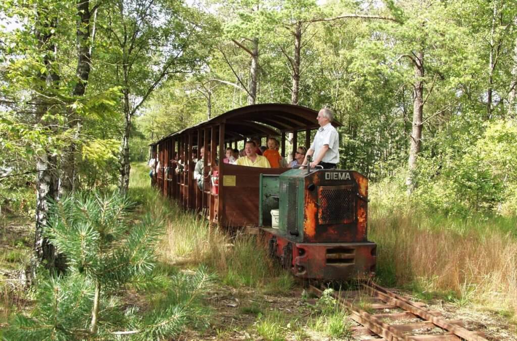 Fahrt mit der Tister Moorbahn