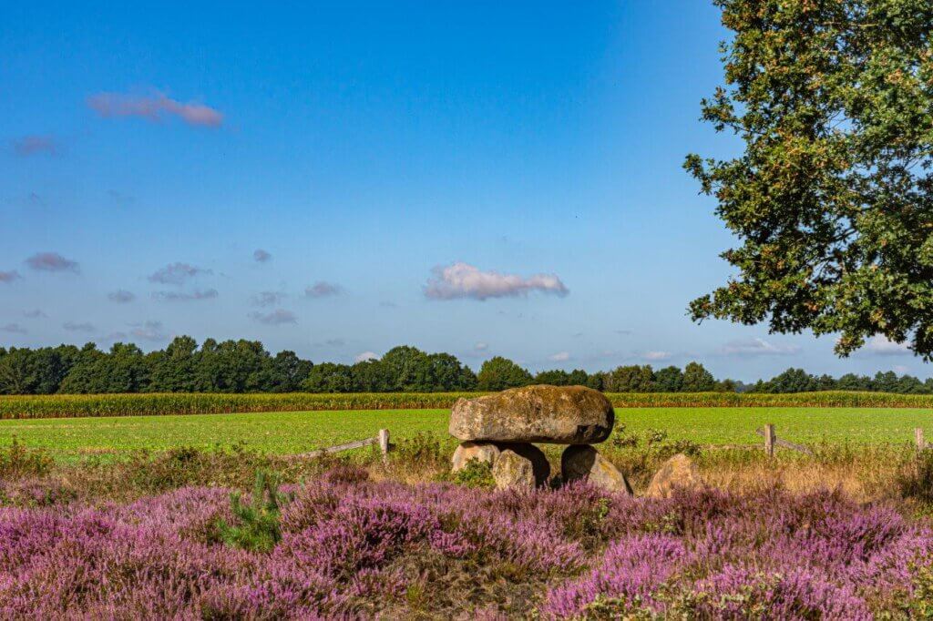 Vom Hotel Schröder in die Lüneburger Heide